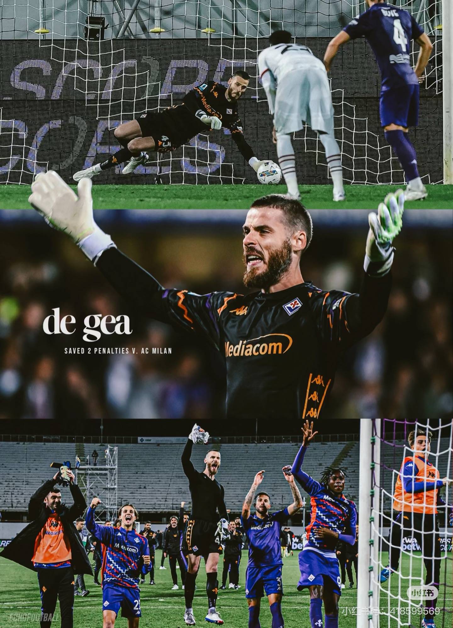 热那亚惨败佛罗伦萨门将表现引热议的简单介绍