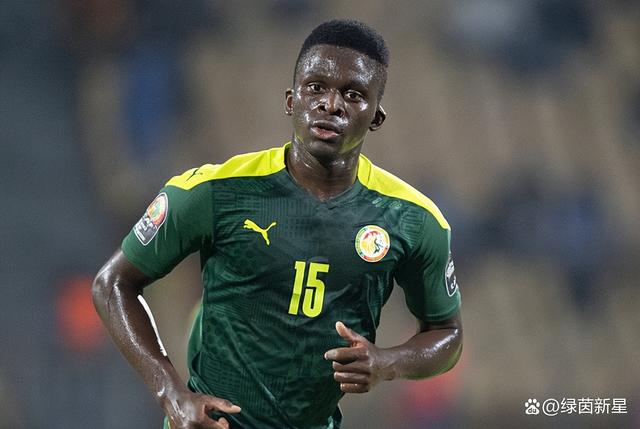 关于非洲杯赛联赛告捷，豪强成就赛场传奇的信息