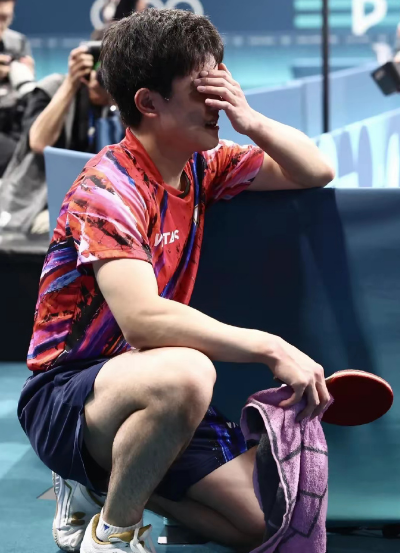 德国队绝杀法国队，张本智和高光表现的简单介绍